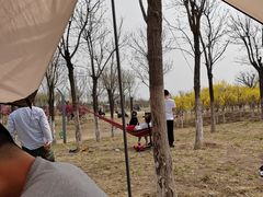 -天津东丽湖风景区