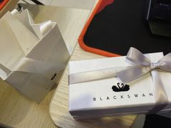 -BLACKSWAN黑天鹅(环球店)