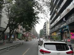 -泡桐树街