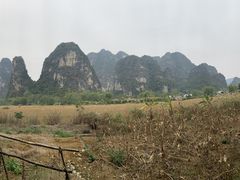 -明仕田园