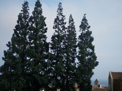 -观象山公园