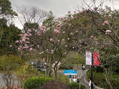 -广州市白云山风景名胜区