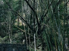 -乌蒙大草原