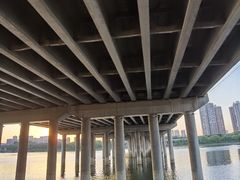 -长白岛森林公园