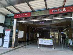 -黄埔油麻山森林公园