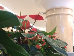 -逸派咖啡 EPARKCOFFEE(广安门店)