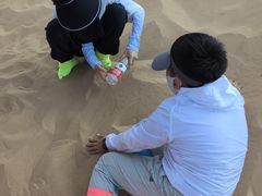 -银肯塔拉沙漠生态旅游景区