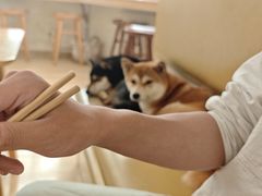 -柴の食堂·日式家庭料理·熊之肆(大学路店)