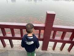 -西海子公园
