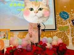 -爱彼格林珑悦幼儿园