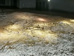 -世界恐龙谷景区