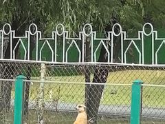 -秦皇岛野生动物园
