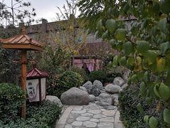 -悦隆庄温泉度假酒店