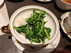百合炒豆尖-润苑·悦椿轩(徐汇万科中心一期店)