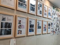 -半岛宠物医院24小时·内窥镜·牙科·碎石中心(府城大道店)