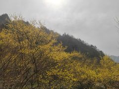 -老界岭旅游度假区