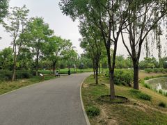 -东郊湿地公园
