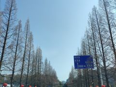 -花溪公园