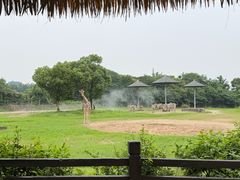 -宁波野生动物园