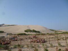 -玉龙沙湖景区