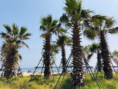 -大梅沙海滨公园
