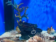 -福州罗源湾海洋世界旅游区