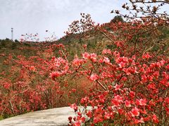 -岳西天峡风景区
