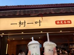 -一树一叶·福建茶档(石鼓路店)