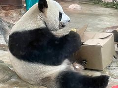 -海南热带野生动植物园