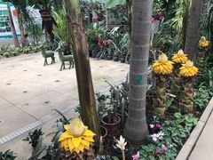 -国家植物园南园