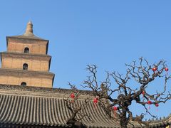 -大慈恩寺(大雁塔)