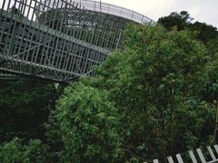-福道