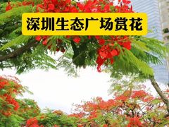 -麗枫酒店(深圳机场福永地铁站店)