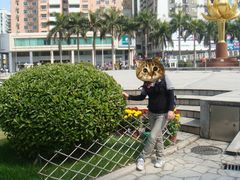 -金莲花广场