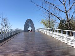 -大兴滨河森林公园