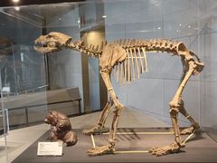 -北京周口店北京人遗址博物馆