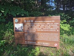 -黄山北海宾馆