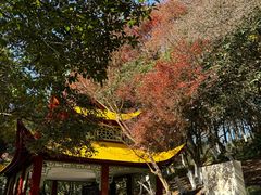 -莫干山风景区