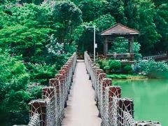 -广州白江湖森林公园