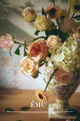 -EMU艺慕摄影(扬中店)