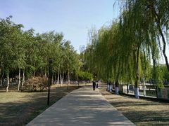 -黛秀湖公园
