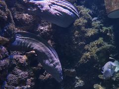 -海合安青岛极地海洋公园