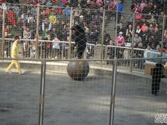 -石家庄市动物园