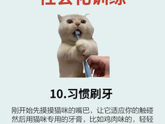 -lincat·猫舍(广州店)