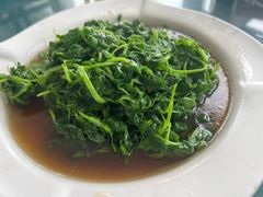 时令野菜-梦缘水乡·湖景餐厅