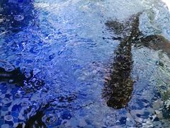 -后湖小院·乡野田园菜