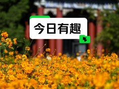 -北海公园
