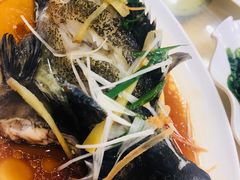 清蒸石斑鱼-春园海鲜广场D区6号(钟姐海鲜加工店)