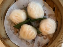 -点都德·毕德寮
