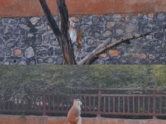 -济南野生动物世界
